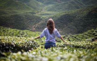 Méditation ou sophrologie