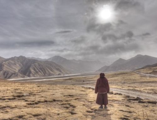 Lu ailleurs : Empathie, altruisme et compassion –  Matthieu Ricard